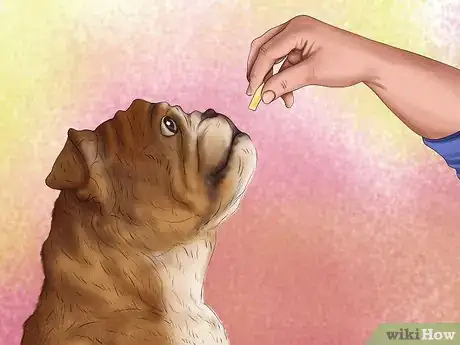 Image titled Handle a Little Dog with a Big Attitude Step 5