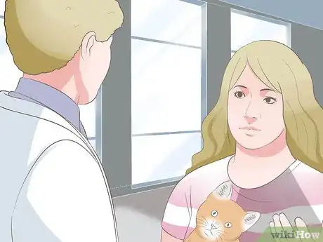 Image titled Diagnose Keratitis in Cats Step 1