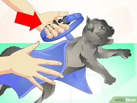 Image titled Deliver Oral Medication to Cats Step 8