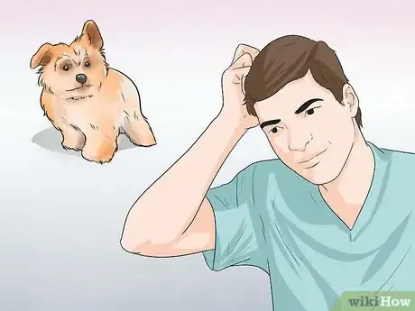 Image titled Care for Shihpoos Step 7