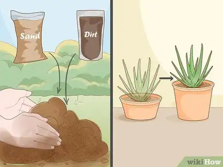 Image titled Keep an Aloe Vera Plant Fresh Step 1