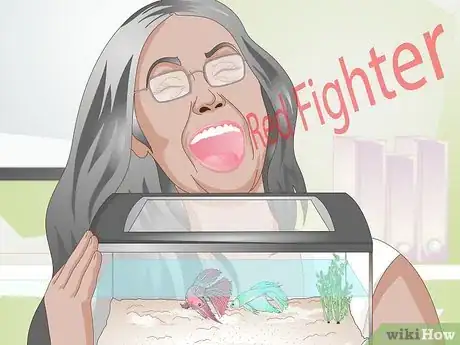 Image titled Name Your Betta Fish Step 8