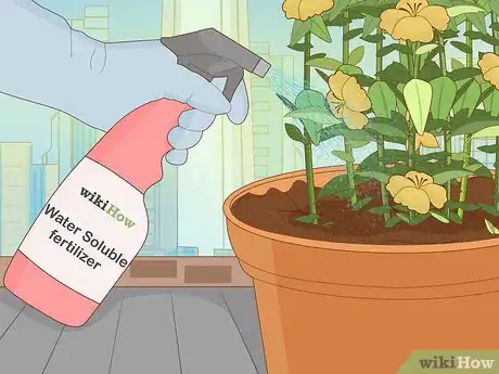 Image titled Plant Snowdrops Step 12