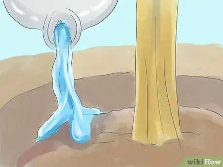 Image titled Plant Bradford Pear Trees Step 16