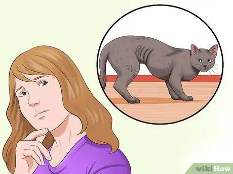 Image titled Treat Feline Cataracts Step 10