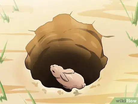 Image titled Trap a Rabbit Step 11