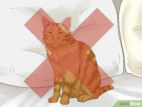 Image titled Choose Non Allergenic Bedding Step 8