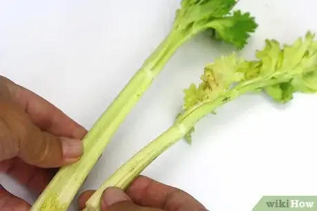 Image titled Cut Celery Step 1