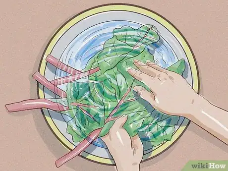 Image titled Clean Swiss Chard Step 1