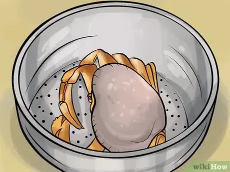 Image titled Clean Dungeness Crab Step 4