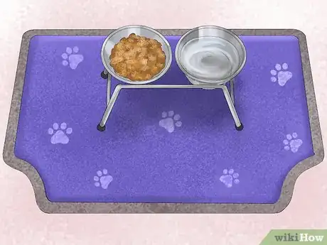 Image titled Keep a Dog or Cat Successfully While Living in an Apartment Step 24