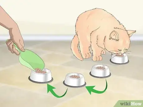 Image titled Manage Wool Sucking in Cats Step 3