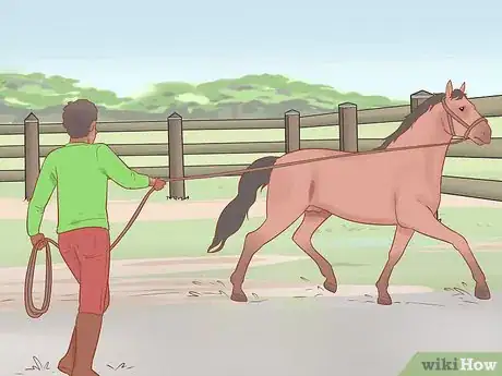 Image titled Handle and Control a Stallion Step 9