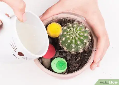 Image titled Pot a Spiny Cactus Without Getting Pricked Step 13