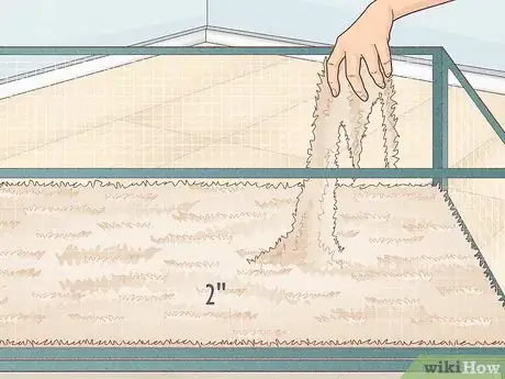 Image titled Prevent Your Guinea Pig from Becoming Sick Step 11