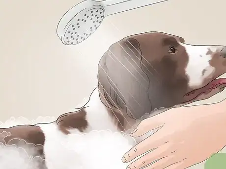 Image titled Keep a House Clean when You Have a Dog Step 10