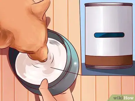 Image titled Treat Arthritis in Dogs Step 4