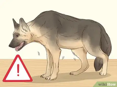 Image titled Stop a Dog from Eating Too Fast Step 14
