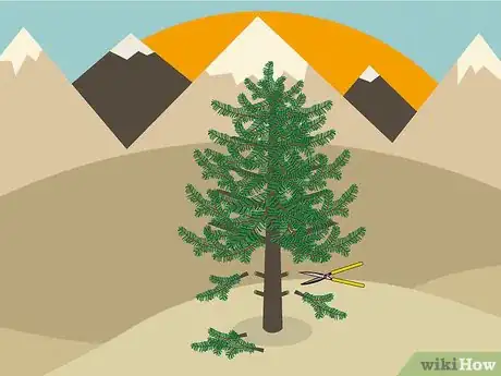 Image titled Prune White Pine Trees Step 07