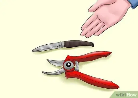 Image titled Cut from a Pansy Plant Step 1