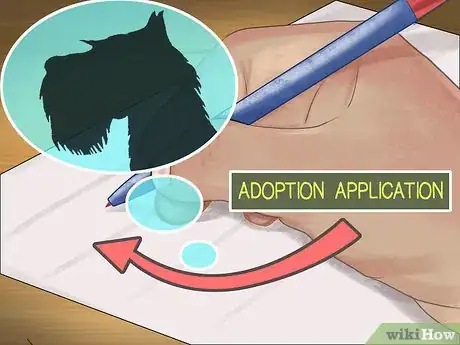 Image titled Adopt a Schnauzer Step 6