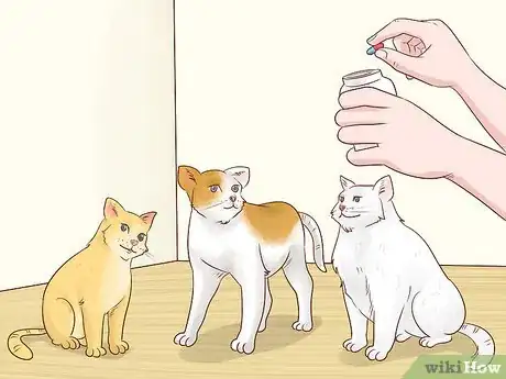 Image titled Diagnose and Treat Chlamydiosis in Cats Step 15