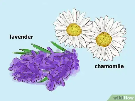 Image titled Plant an Herb Pot Step 3