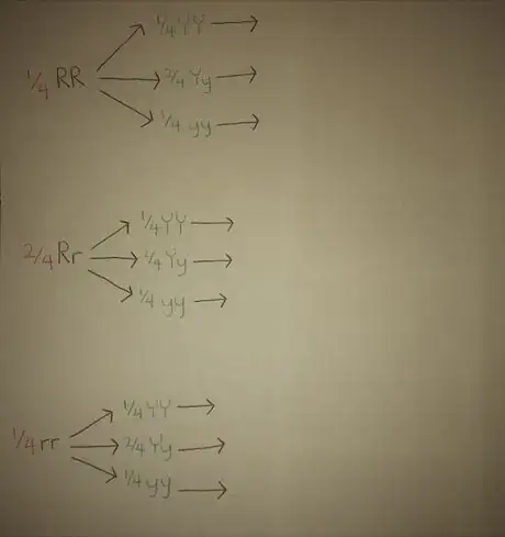 Image titled Last wiki how cropped pic