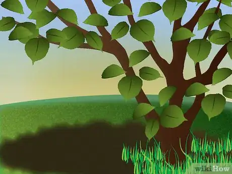 Image titled Grow Foxglove Step 3