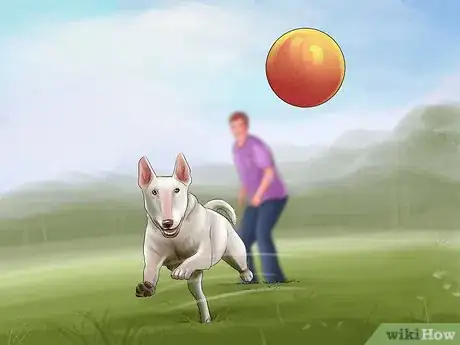 Image titled Introduce a Dog to a New Family Member Step 15