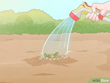 Image titled Grow and Care for Peonies Step 11