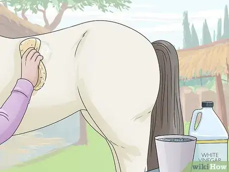 Image titled Clean a Horse Step 18