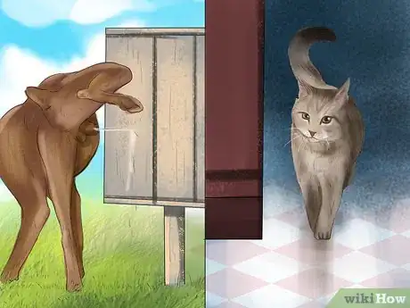 Image titled Keep a Dog or Cat Successfully While Living in an Apartment Step 4