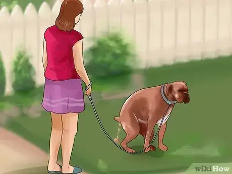 Image titled Train a Boxer Dog Step 8