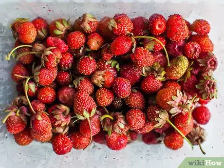 Image titled Make a Quick and Easy Cake Step 19