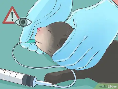 Image titled Prevent Disease in Orphaned Newborn Puppies Step 4