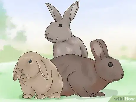 Image titled Improve Composition in Your Photographs Step 3