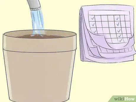 Image titled Grow a Queen Palm Step 5