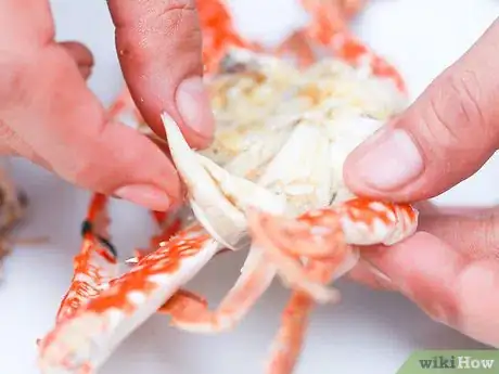 Image titled Boil Crab Step 13