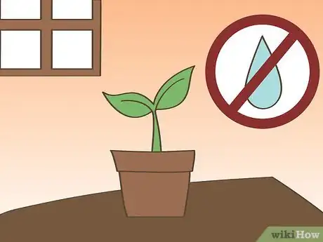 Image titled Harden Off Seedlings Step 1