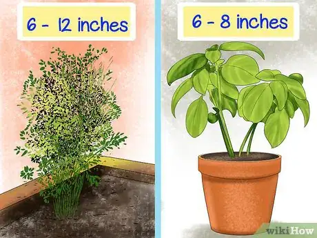 Image titled Harvest Herbs Step 5