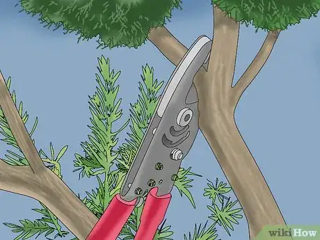 Image titled Prune a Juniper Tree Step 5