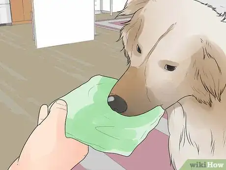 Image titled Stop Your Dog from Chewing Things it Shouldn't Step 6