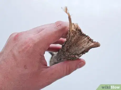 Image titled Make Buttons from Branches Step 3