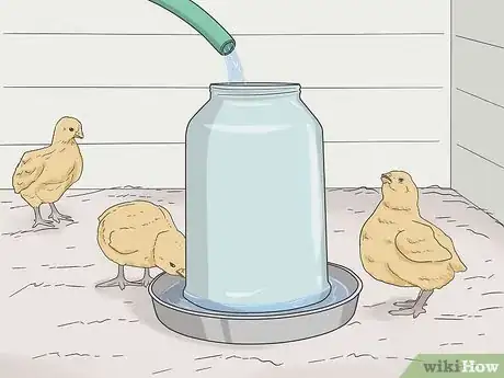 Image titled Raise Meat Chickens Step 17