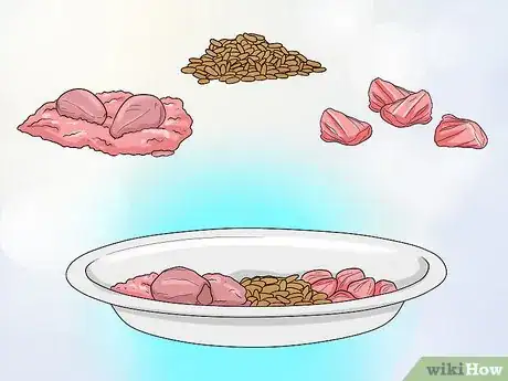 Image titled Feed a Ferret Step 15