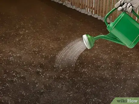 Image titled Grow Napa Cabbage Step 9