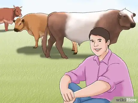 Image titled Identify Belted Galloway Cattle Step 4