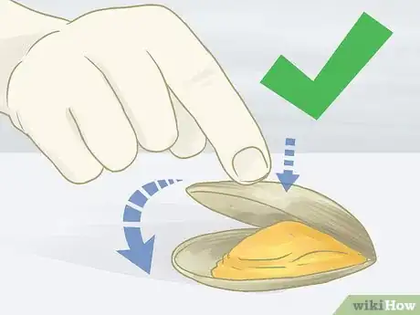 Image titled Choose and Prepare the Healthiest Fish Step 11