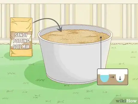 Image titled Grow California Poppies Step 3